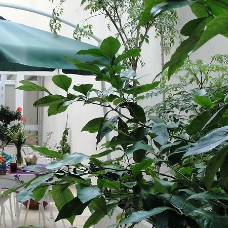 Bed & Breakfast Alma Grande Brindisi