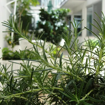 فندق مبيت وإفطار Alma Grande